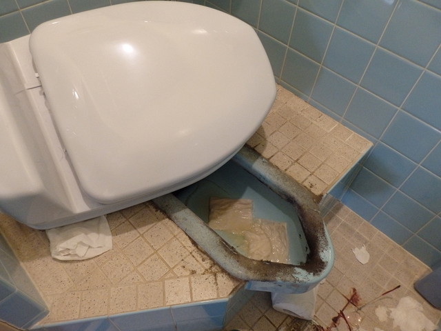 トイレ風景
