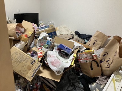 ゴミと部屋