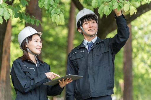 男性と女性と木