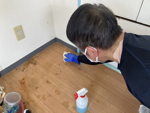 特殊清掃を行うスタッフ