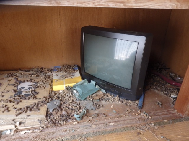 テレビの回りに猫の糞が散乱している画像