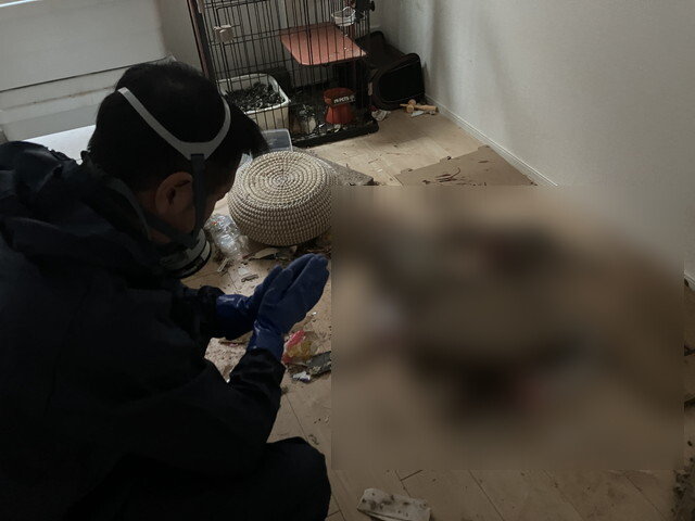 お部屋で合掌する男性の姿