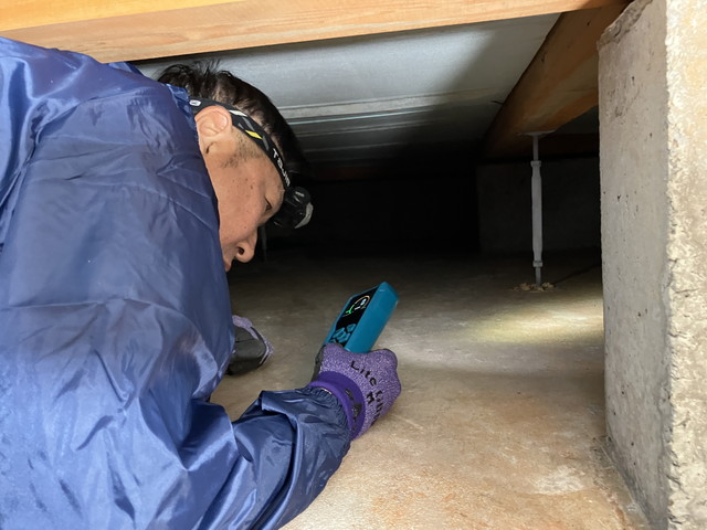 床下で作業中のスタッフ