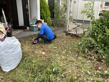 剪定作業中のスタッフ