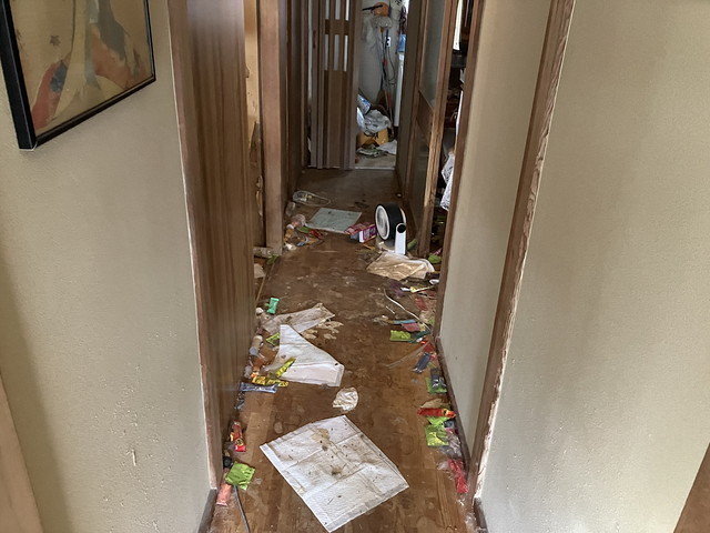 猫の糞尿が広がっている廊下